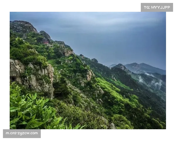 山东泰山签约地方连锁超市 200万年费折射市场底价 山东泰山签约地方连锁超市 200万年费折射市场底价